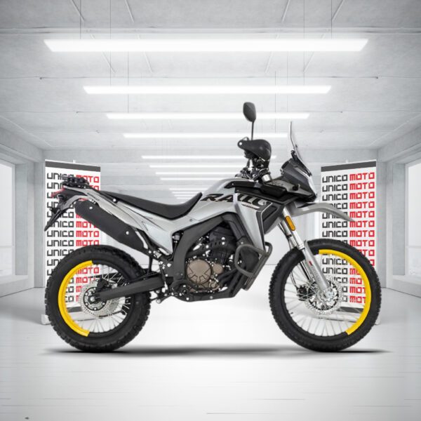 VOGE<br>300 RALLY